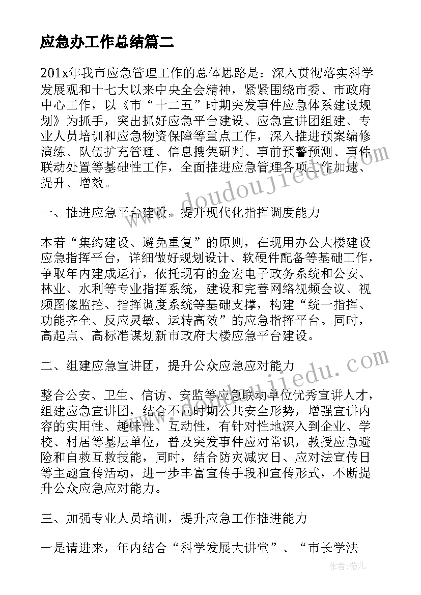 最新应急办工作总结(通用5篇)