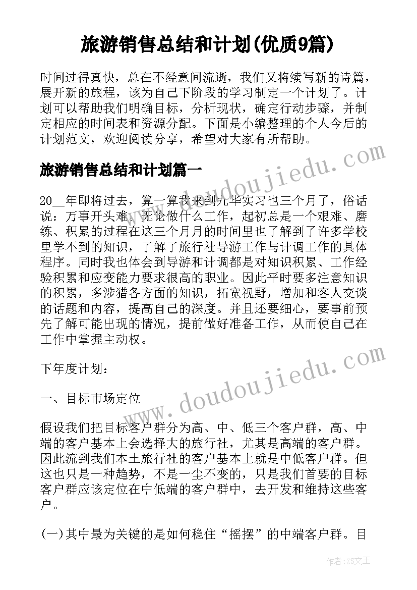 旅游销售总结和计划(优质9篇)