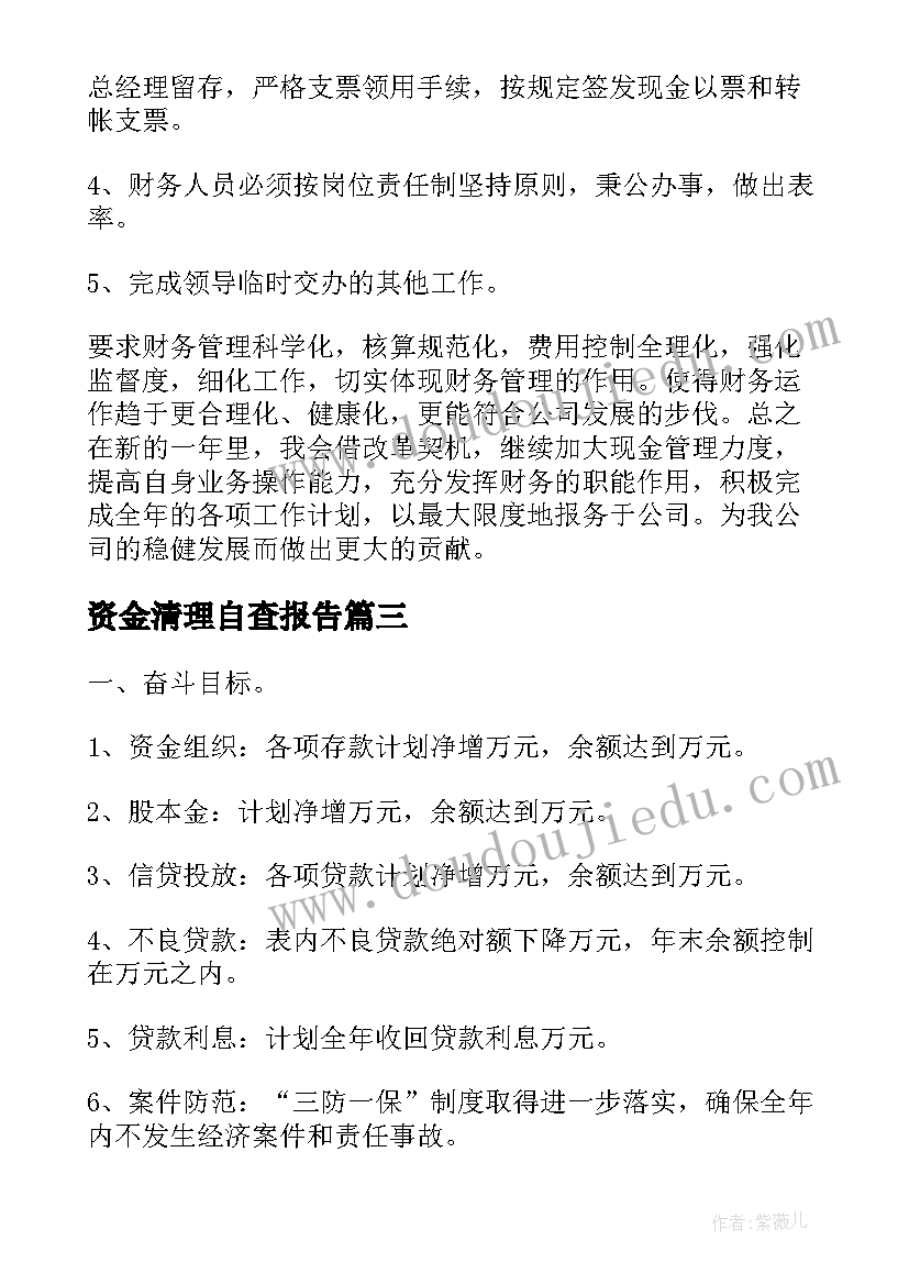 资金清理自查报告(优秀9篇)