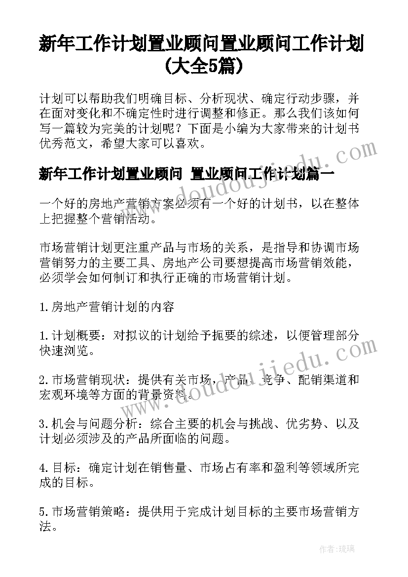 新年工作计划置业顾问 置业顾问工作计划(大全5篇)