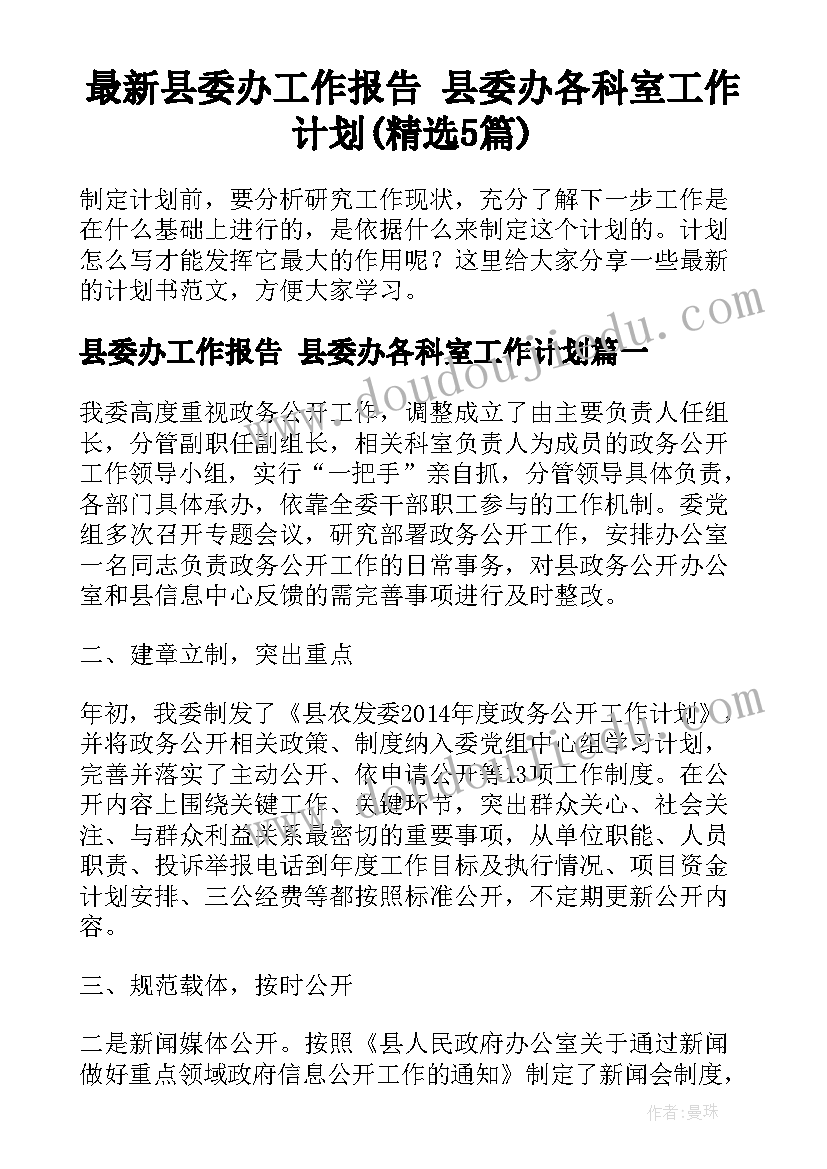 最新县委办工作报告 县委办各科室工作计划(精选5篇)