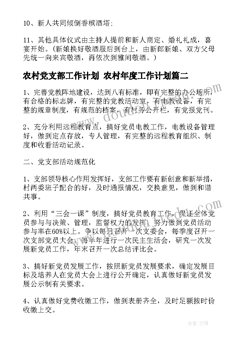 农村党支部工作计划 农村年度工作计划(优质9篇)