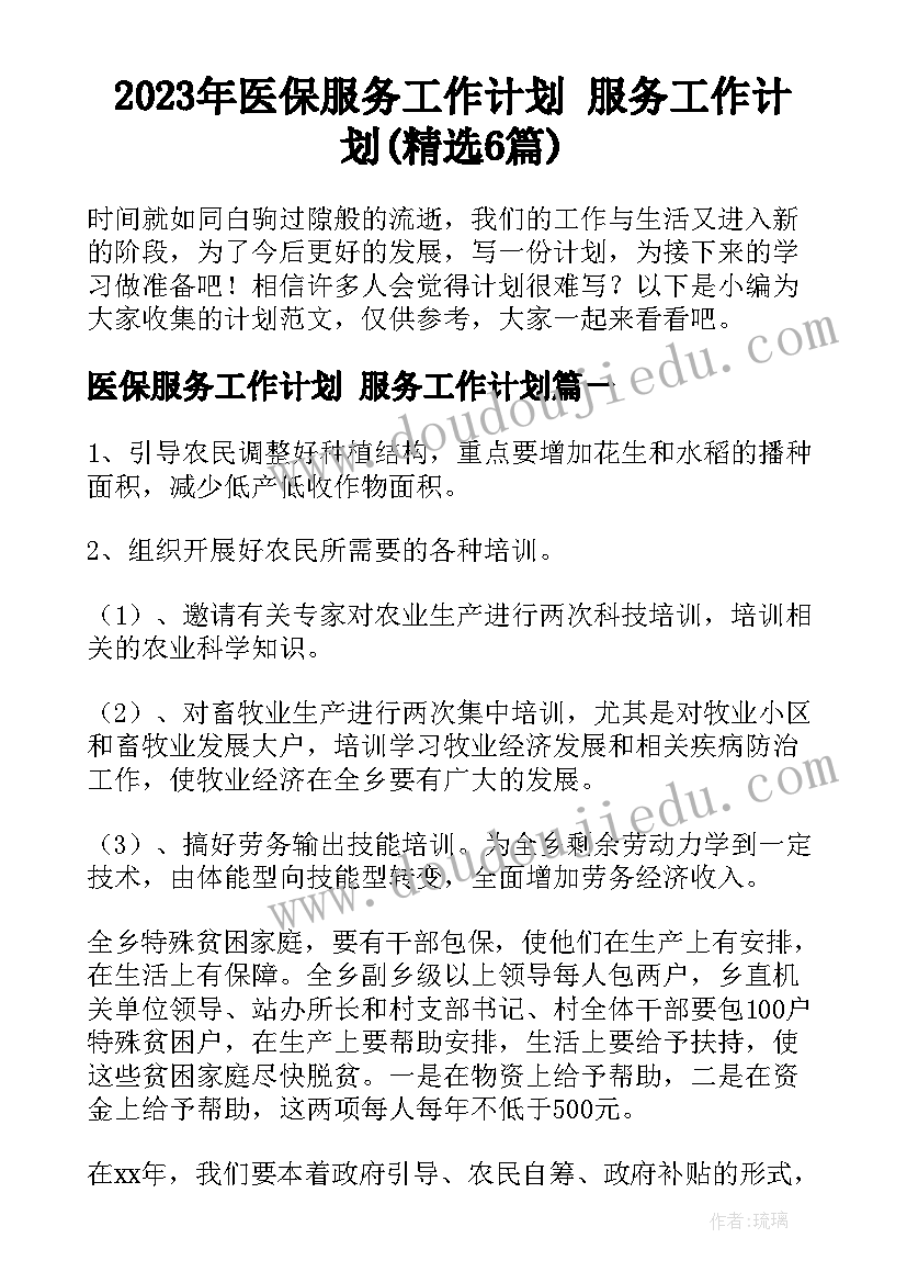 2023年医保服务工作计划 服务工作计划(精选6篇)