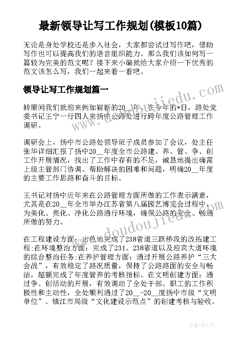 最新领导让写工作规划(模板10篇)