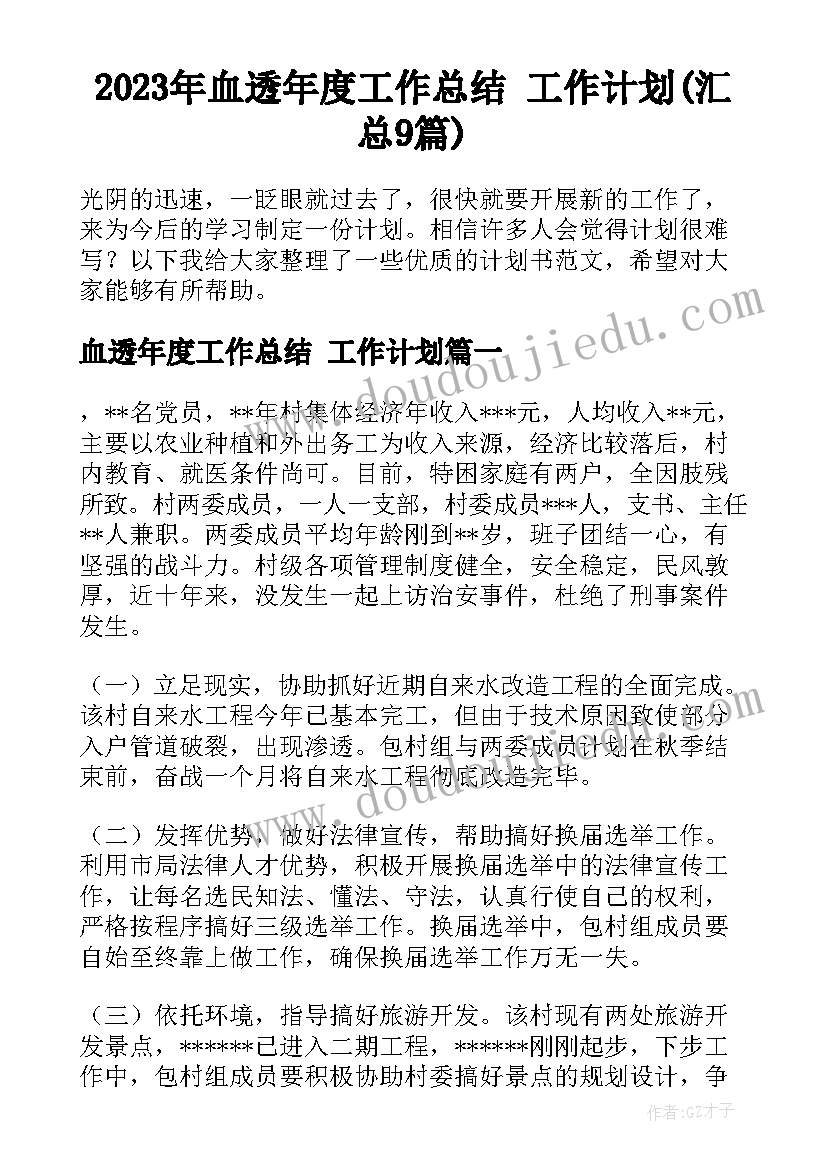 2023年血透年度工作总结 工作计划(汇总9篇)