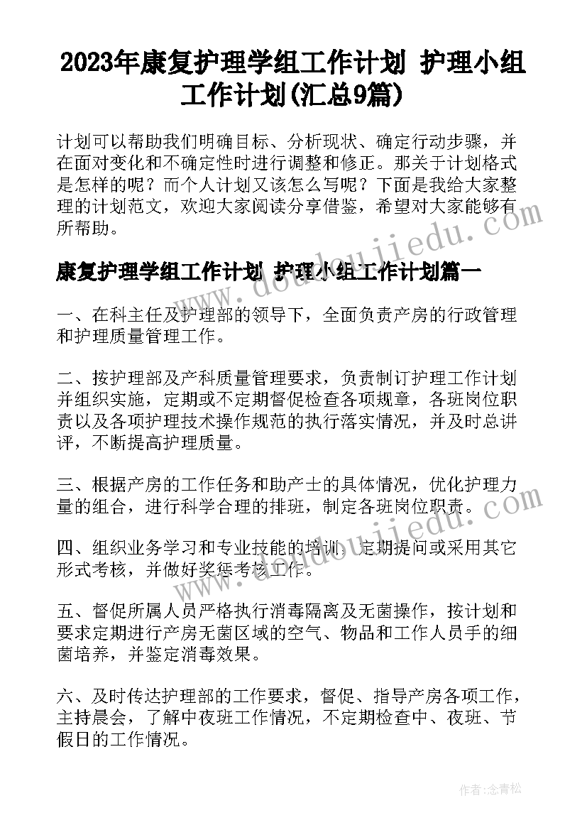 2023年康复护理学组工作计划 护理小组工作计划(汇总9篇)