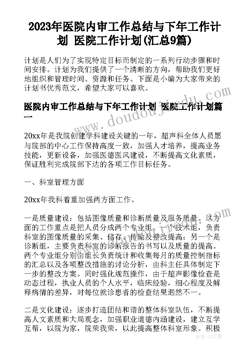 2023年医院内审工作总结与下年工作计划 医院工作计划(汇总9篇)