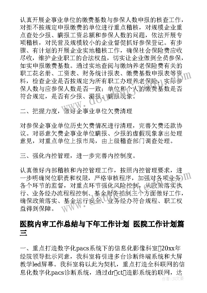 2023年医院内审工作总结与下年工作计划 医院工作计划(汇总9篇)