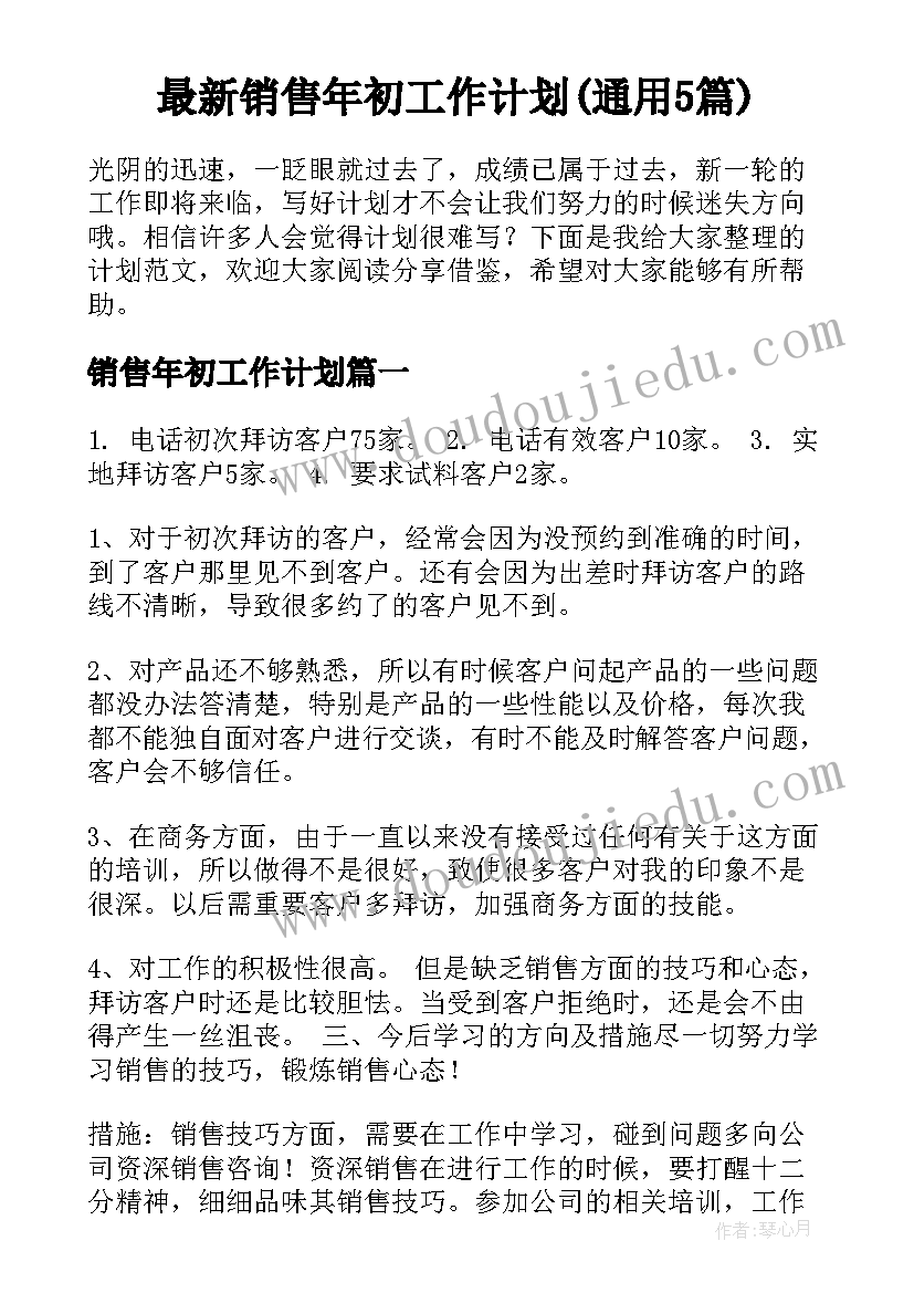 最新销售年初工作计划(通用5篇)