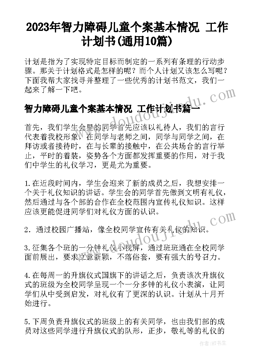 2023年智力障碍儿童个案基本情况 工作计划书(通用10篇)