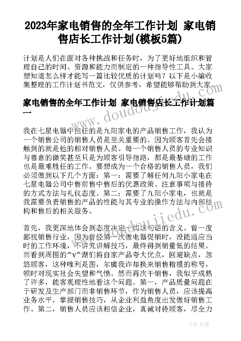 2023年家电销售的全年工作计划 家电销售店长工作计划(模板5篇)