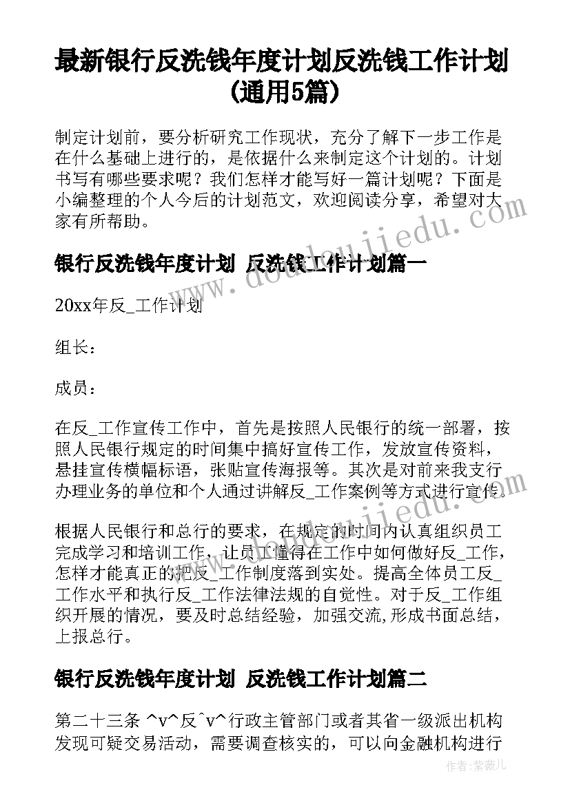 最新银行反洗钱年度计划 反洗钱工作计划(通用5篇)