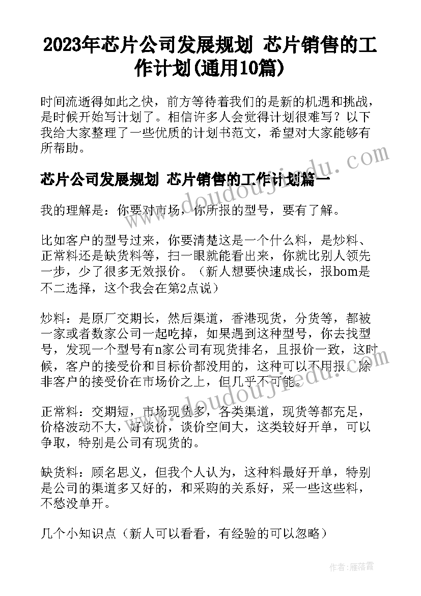 2023年芯片公司发展规划 芯片销售的工作计划(通用10篇)