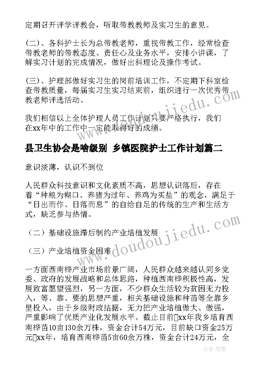 最新县卫生协会是啥级别 乡镇医院护士工作计划(精选5篇)