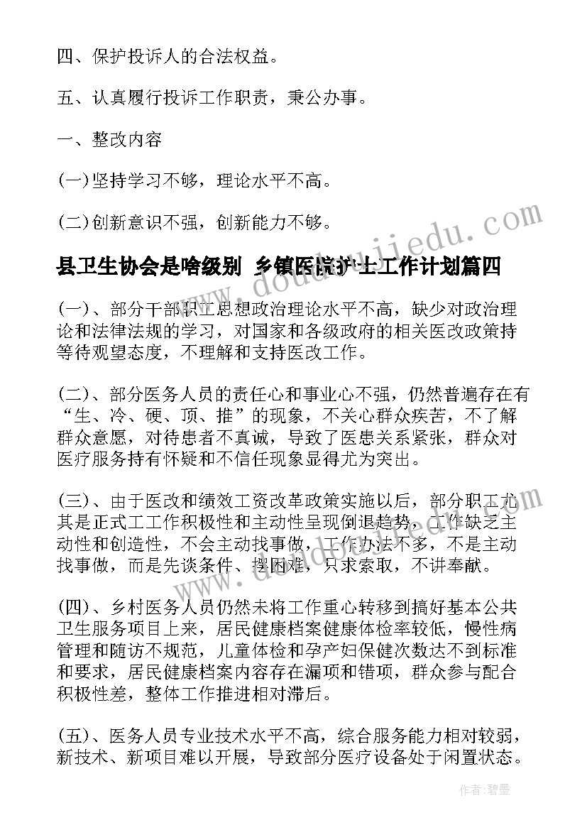 最新县卫生协会是啥级别 乡镇医院护士工作计划(精选5篇)