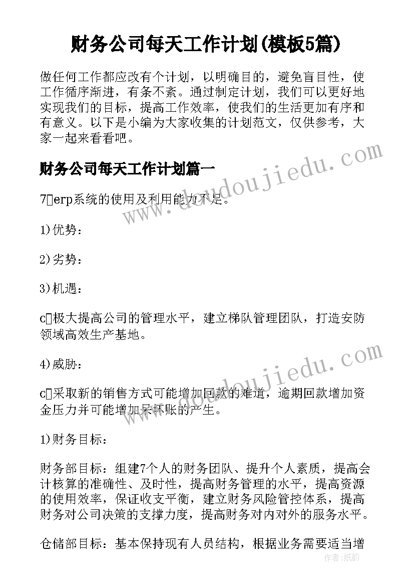 财务公司每天工作计划(模板5篇)