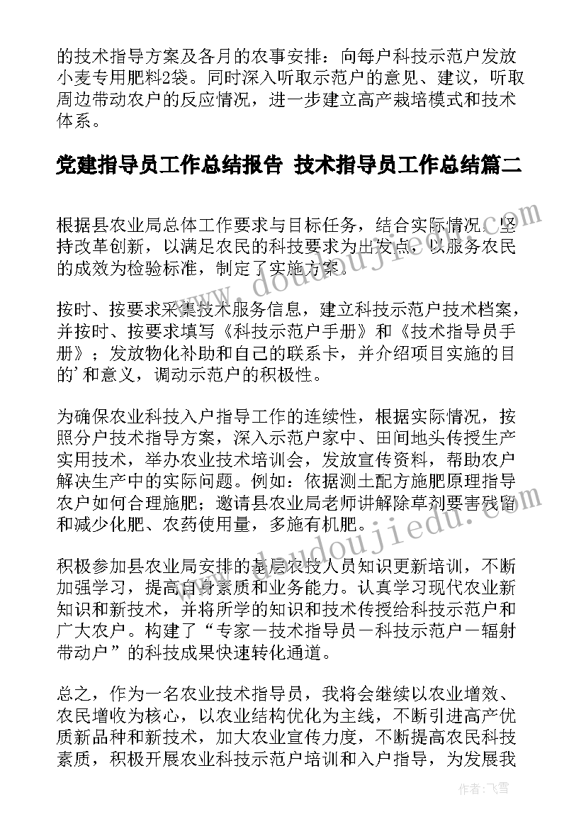 党建指导员工作总结报告 技术指导员工作总结(精选5篇)