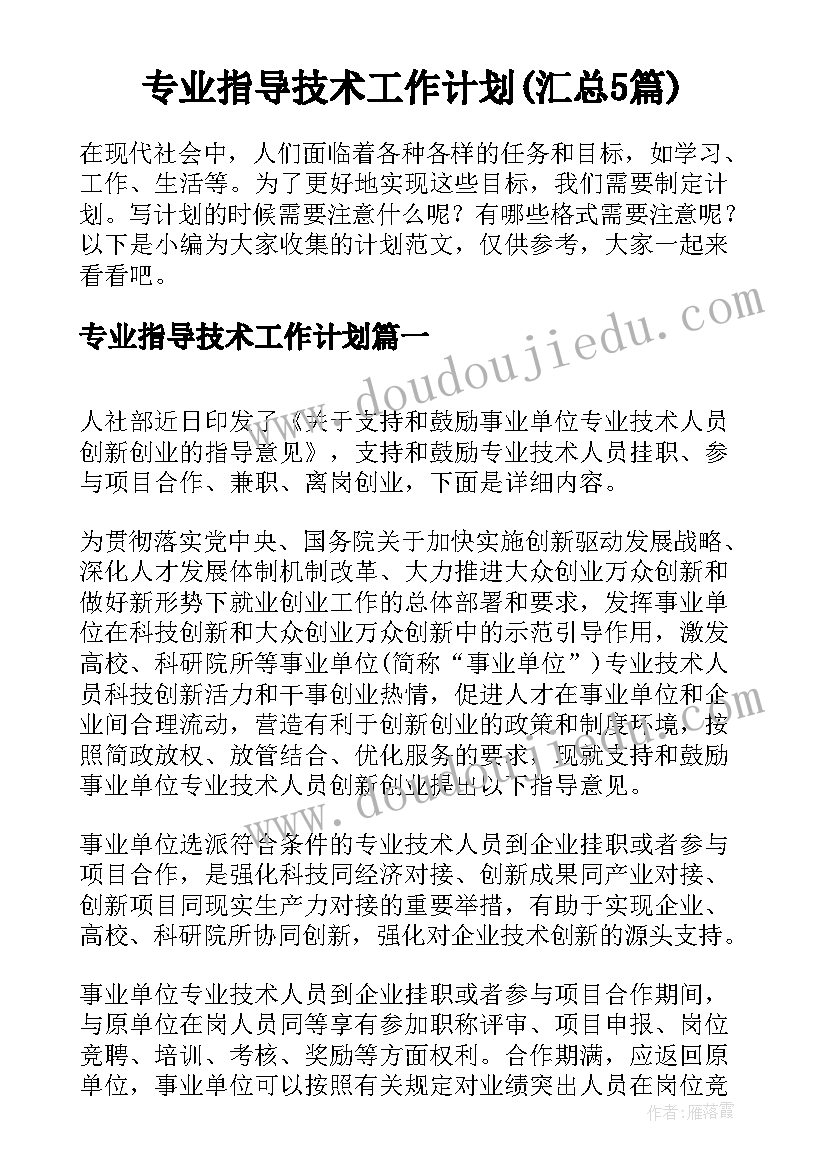 专业指导技术工作计划(汇总5篇)