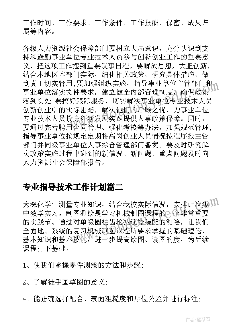 专业指导技术工作计划(汇总5篇)