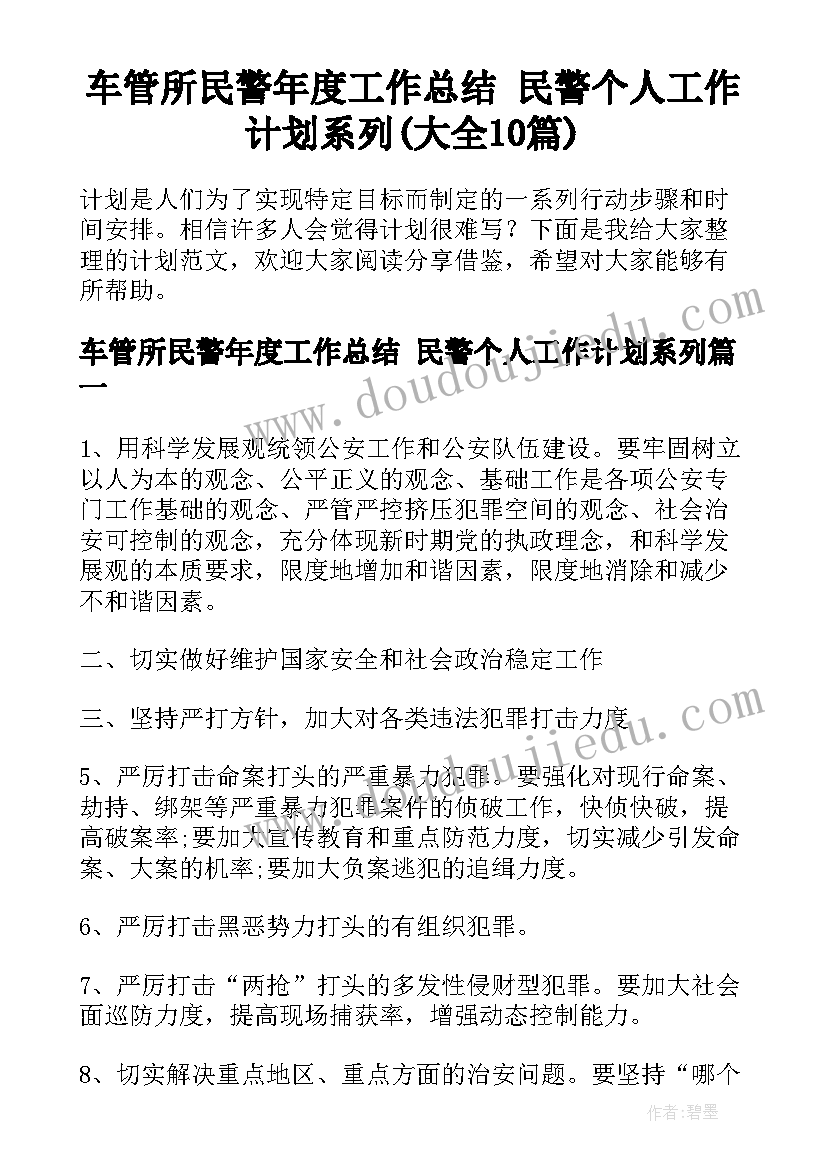 车管所民警年度工作总结 民警个人工作计划系列(大全10篇)