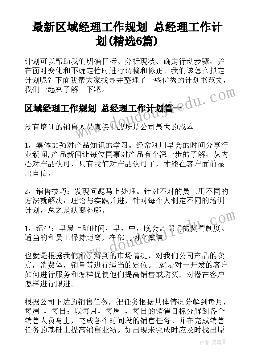 最新区域经理工作规划 总经理工作计划(精选6篇)