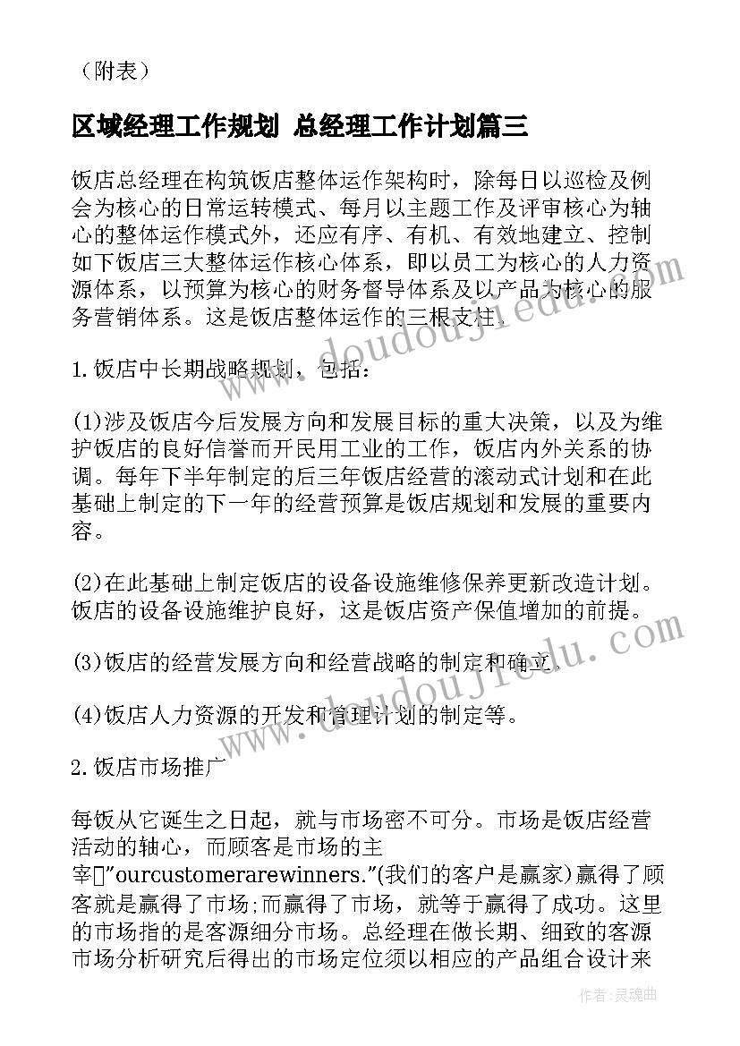 最新区域经理工作规划 总经理工作计划(精选6篇)