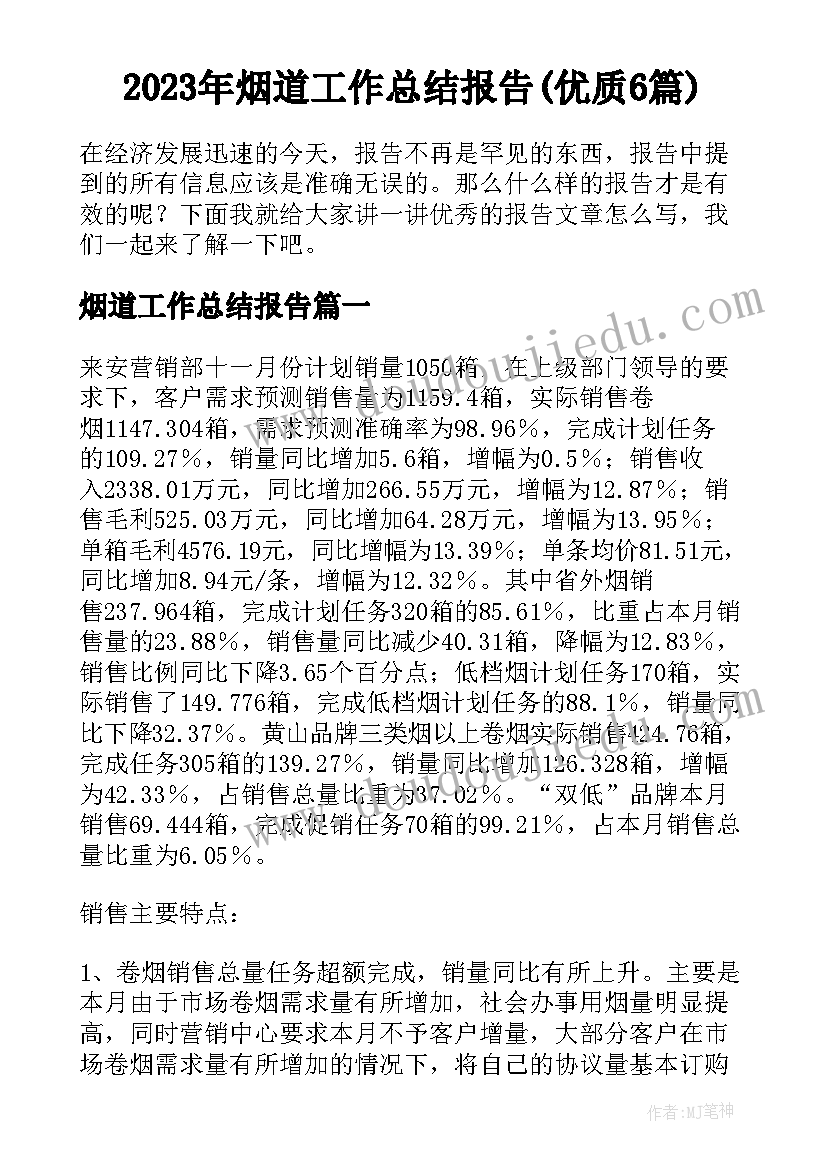 2023年烟道工作总结报告(优质6篇)