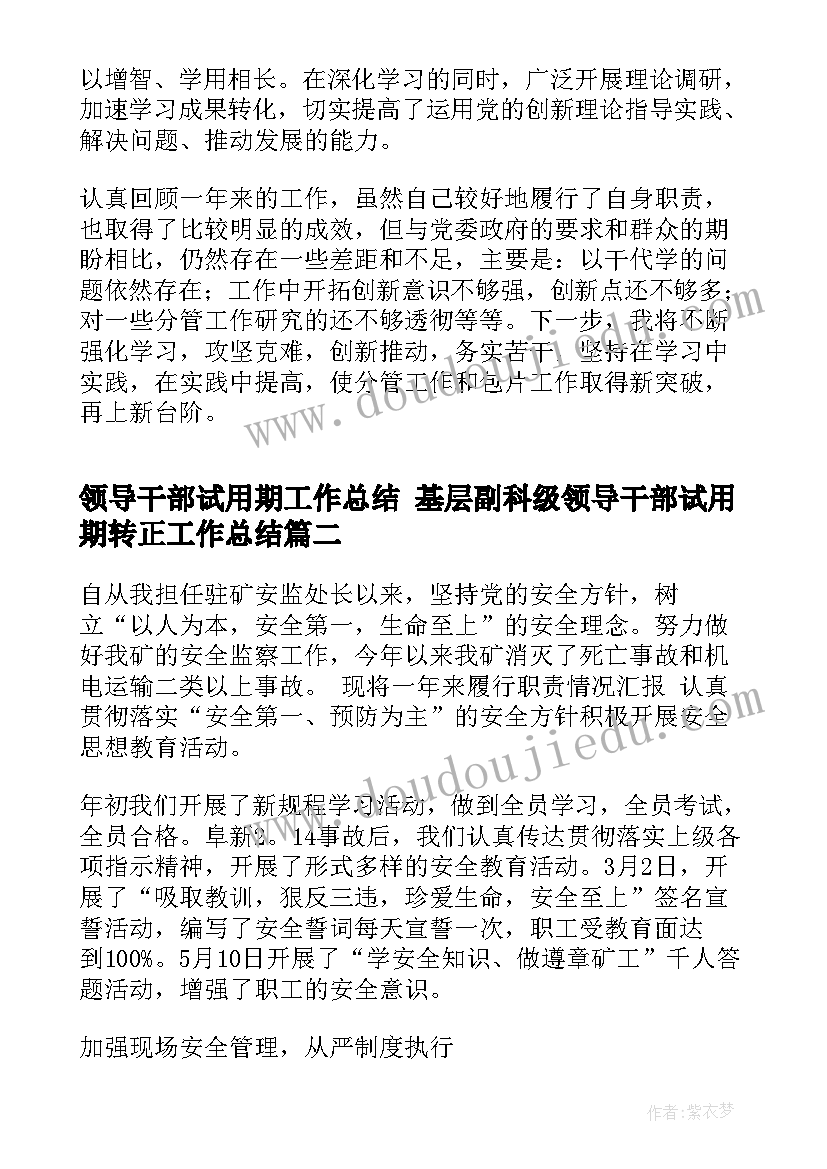 领导干部试用期工作总结 基层副科级领导干部试用期转正工作总结(优秀10篇)