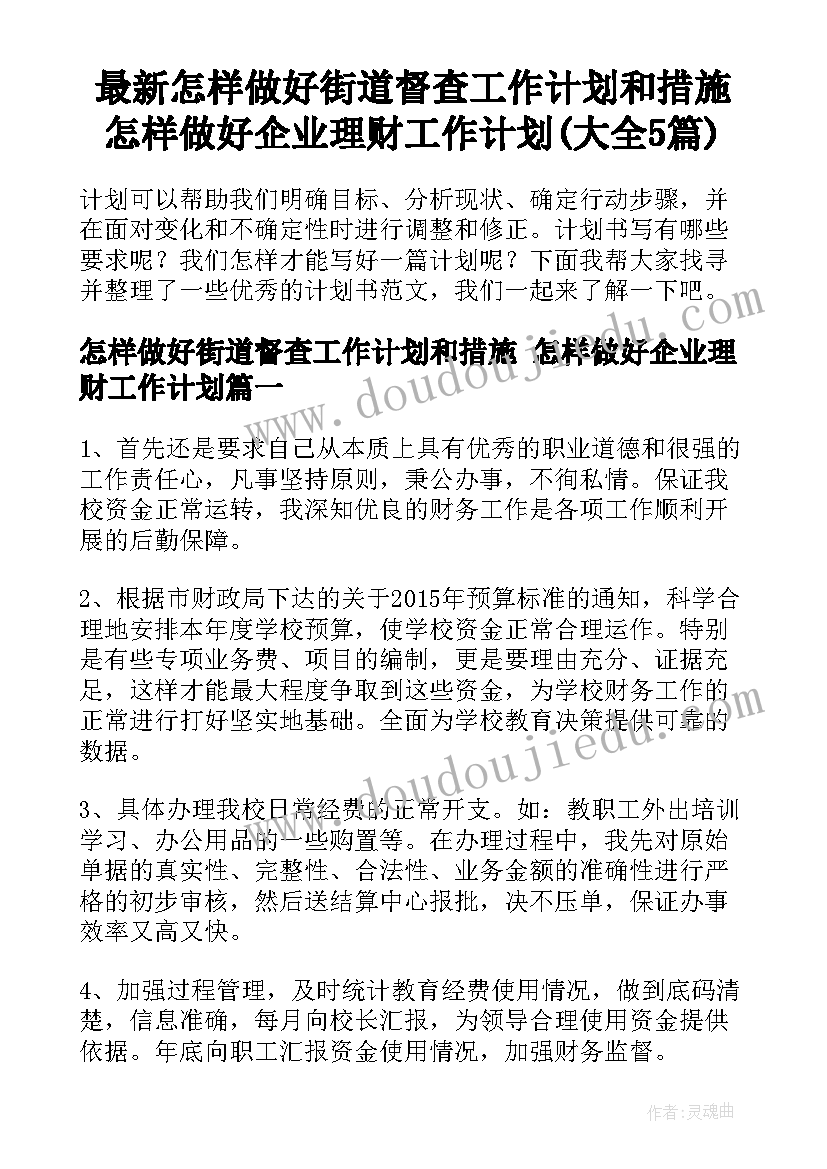 最新怎样做好街道督查工作计划和措施 怎样做好企业理财工作计划(大全5篇)