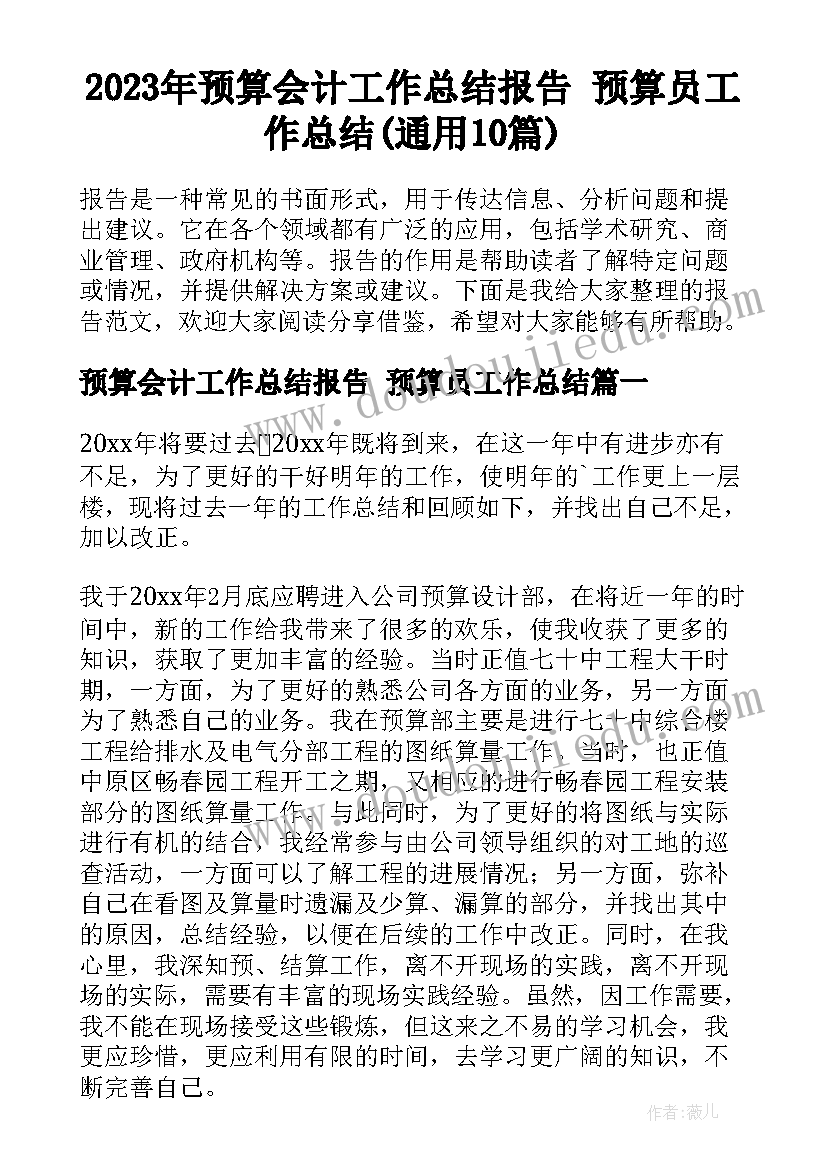 2023年预算会计工作总结报告 预算员工作总结(通用10篇)