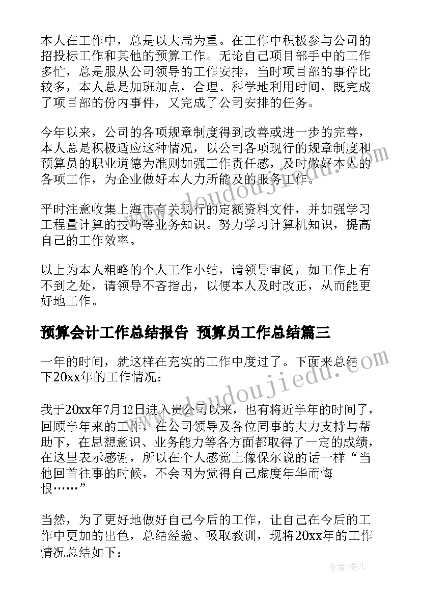 2023年预算会计工作总结报告 预算员工作总结(通用10篇)