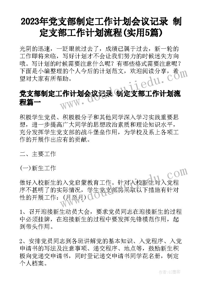 2023年党支部制定工作计划会议记录 制定支部工作计划流程(实用5篇)