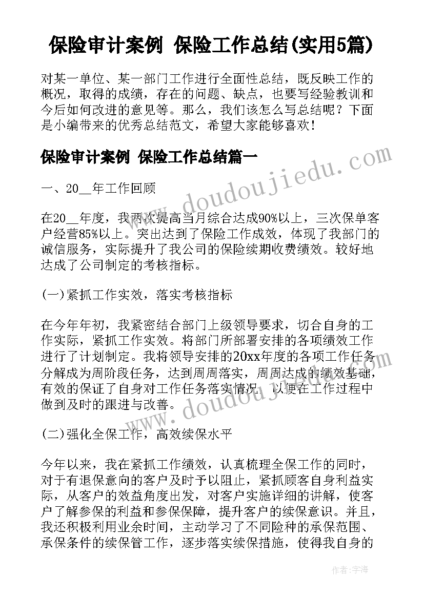 保险审计案例 保险工作总结(实用5篇)