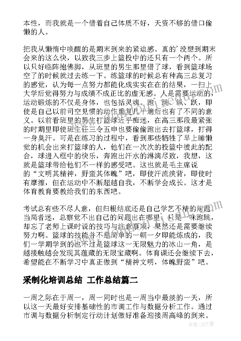 最新采制化培训总结 工作总结(汇总8篇)