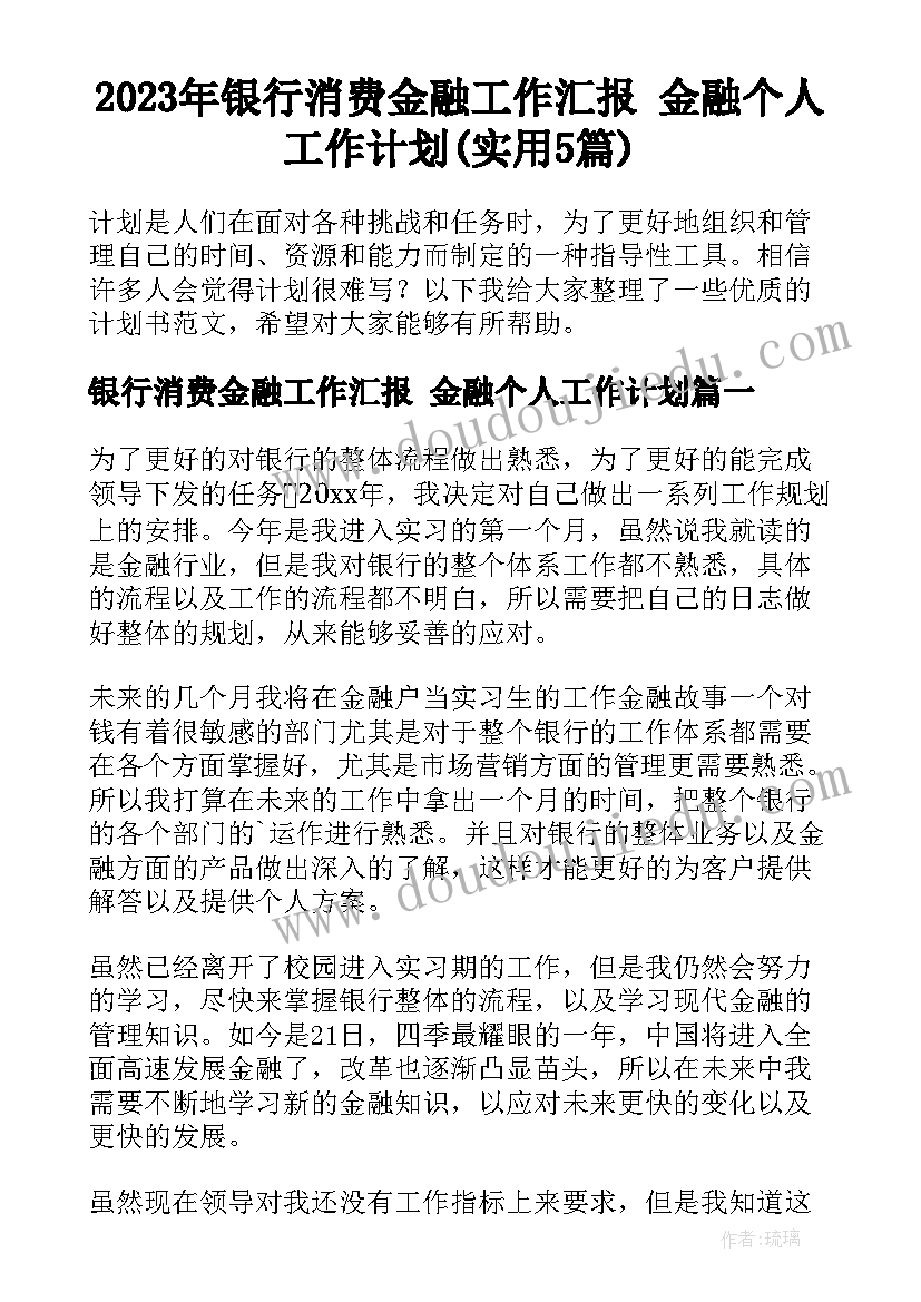 2023年银行消费金融工作汇报 金融个人工作计划(实用5篇)