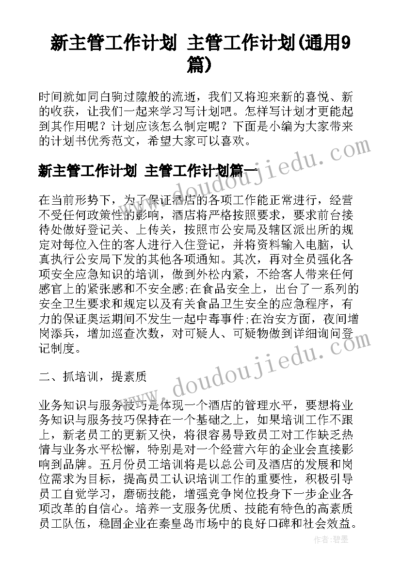 新主管工作计划 主管工作计划(通用9篇)