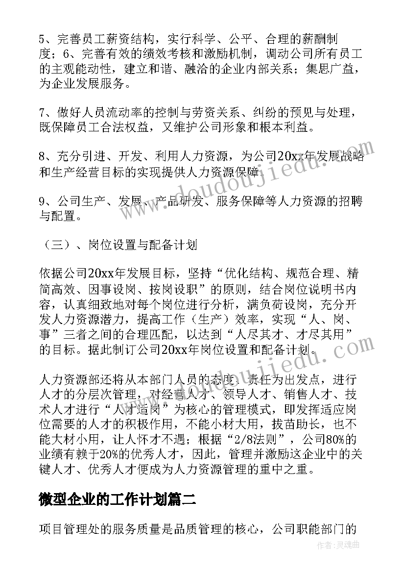 微型企业的工作计划(实用5篇)