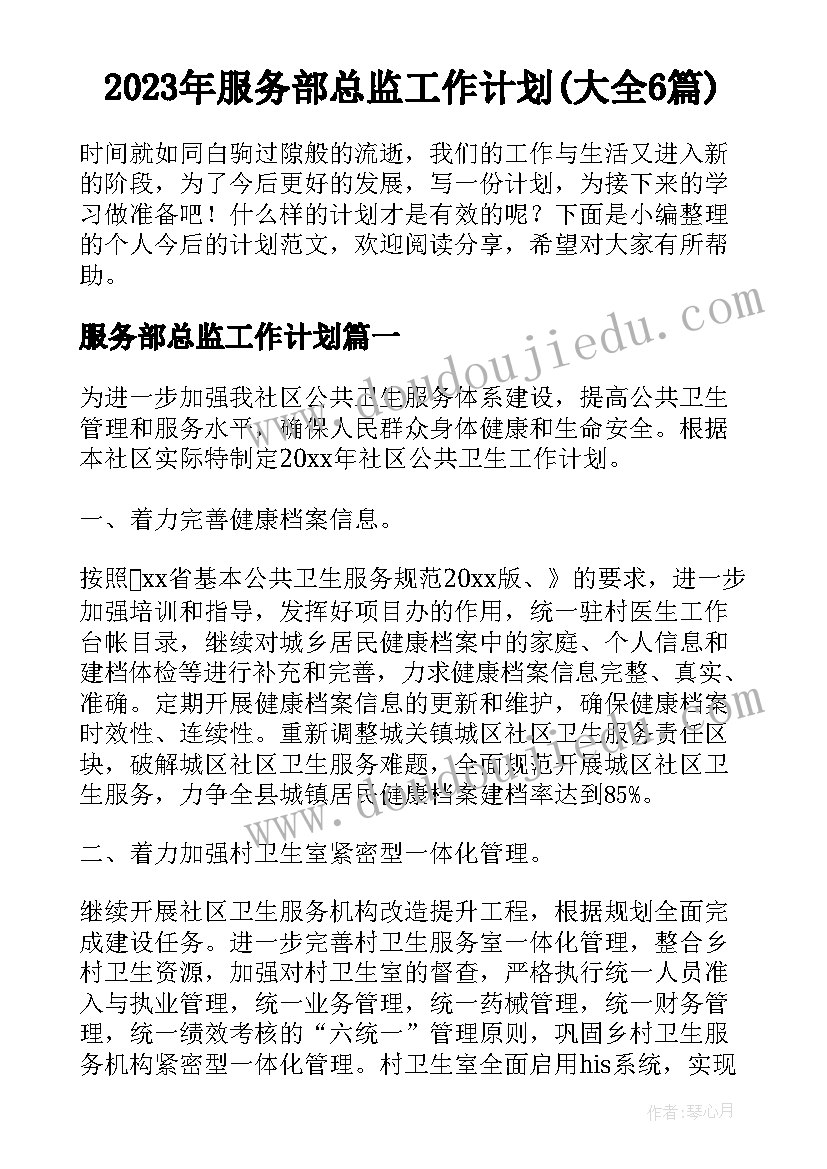 2023年服务部总监工作计划(大全6篇)