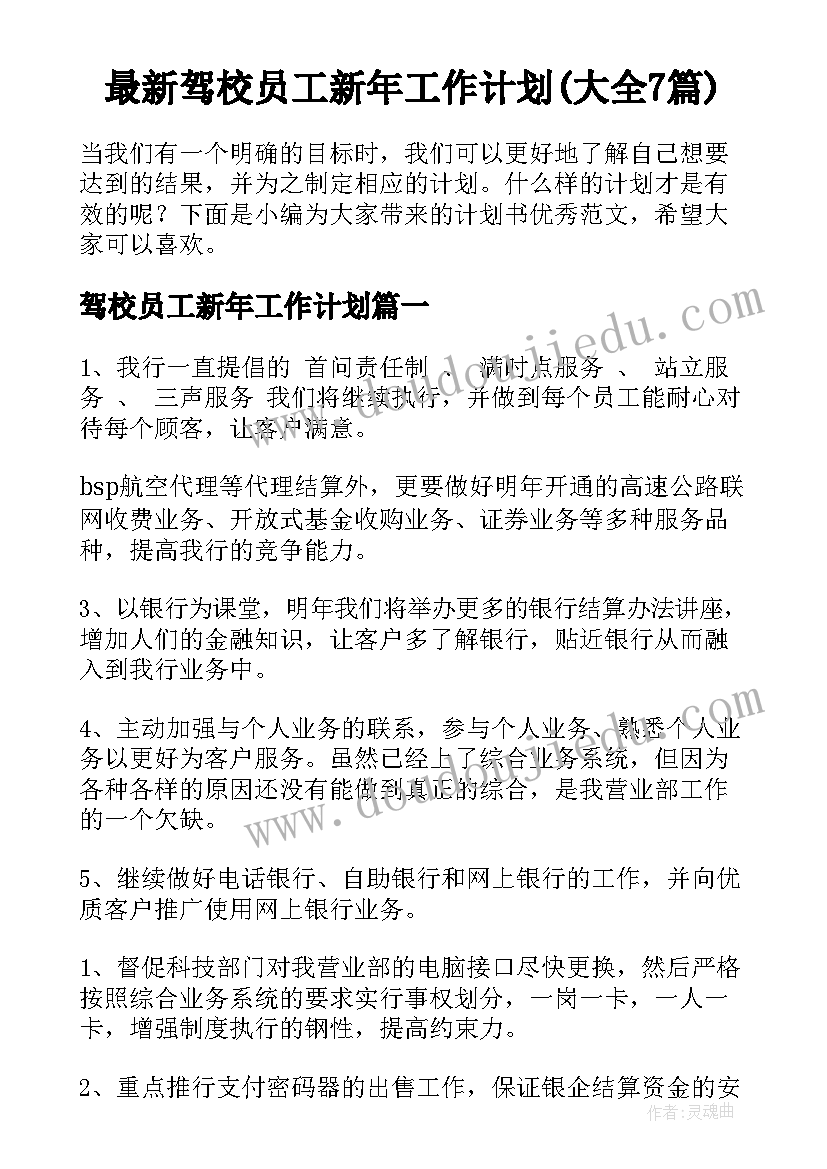 最新驾校员工新年工作计划(大全7篇)