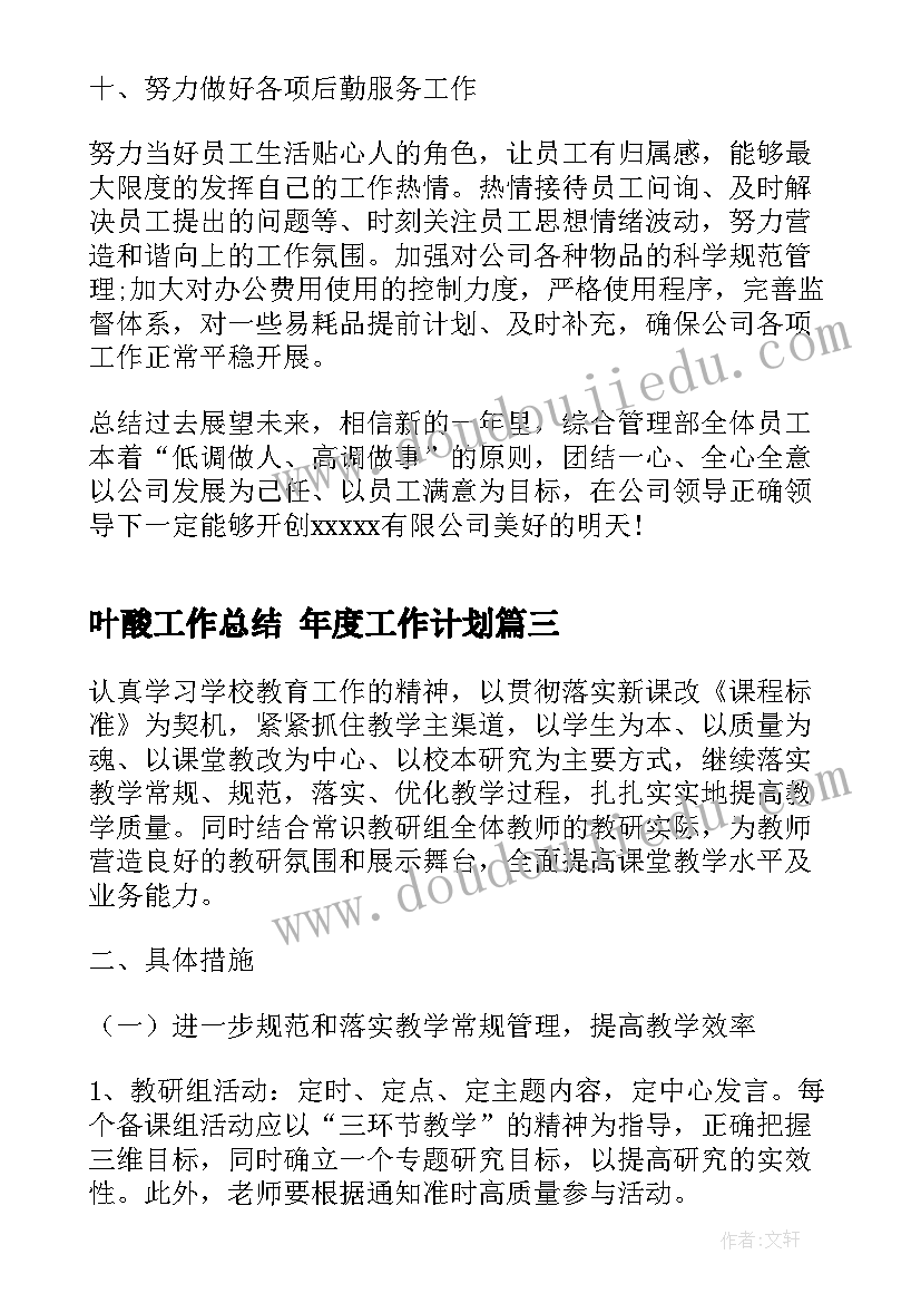 最新叶酸工作总结 年度工作计划(模板8篇)