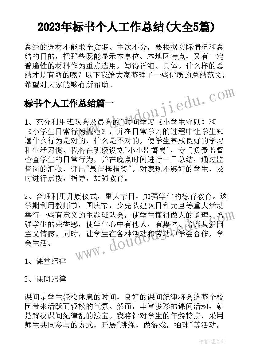 2023年标书个人工作总结(大全5篇)