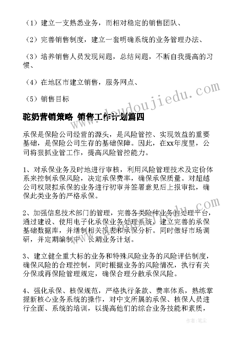 2023年驼奶营销策略 销售工作计划(大全7篇)