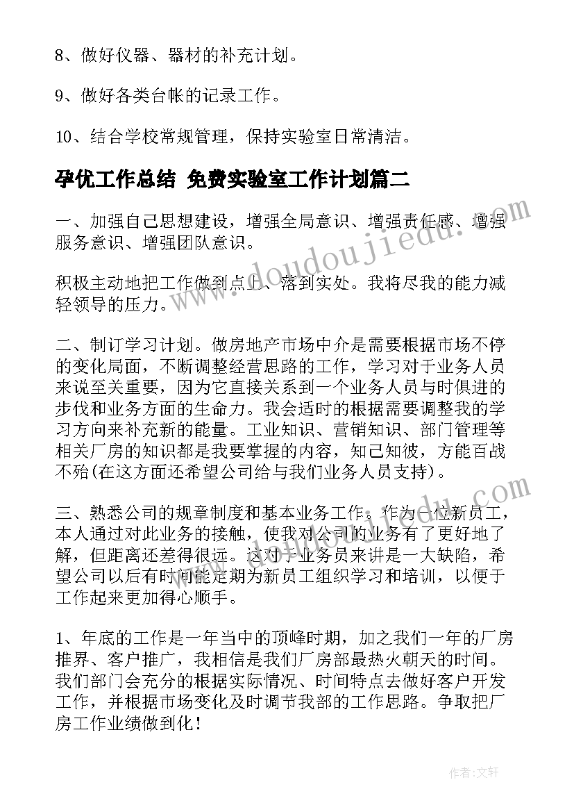 2023年孕优工作总结 免费实验室工作计划(实用7篇)