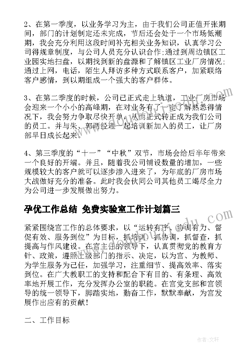 2023年孕优工作总结 免费实验室工作计划(实用7篇)