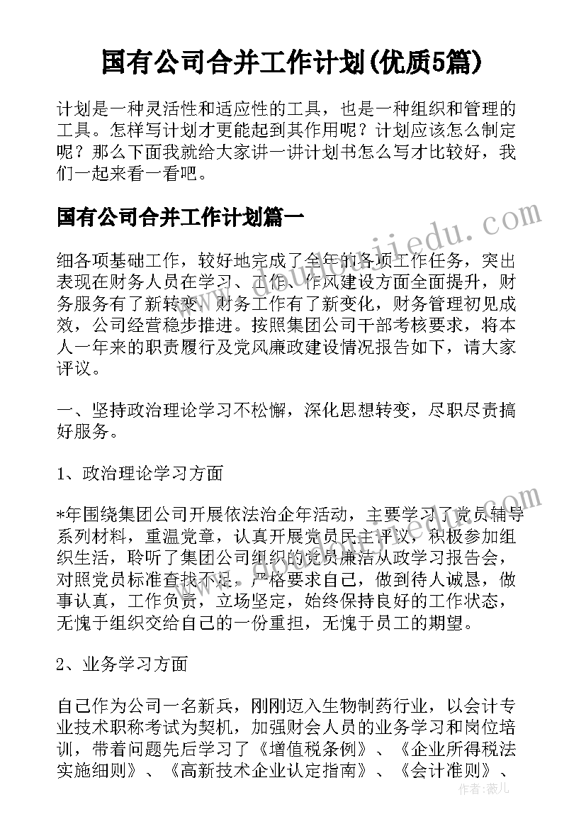 国有公司合并工作计划(优质5篇)