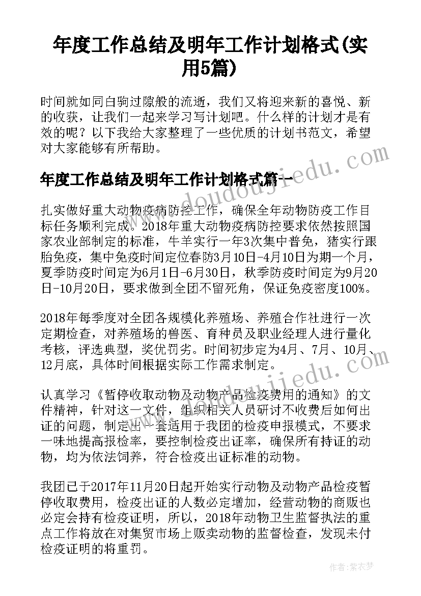 年度工作总结及明年工作计划格式(实用5篇)