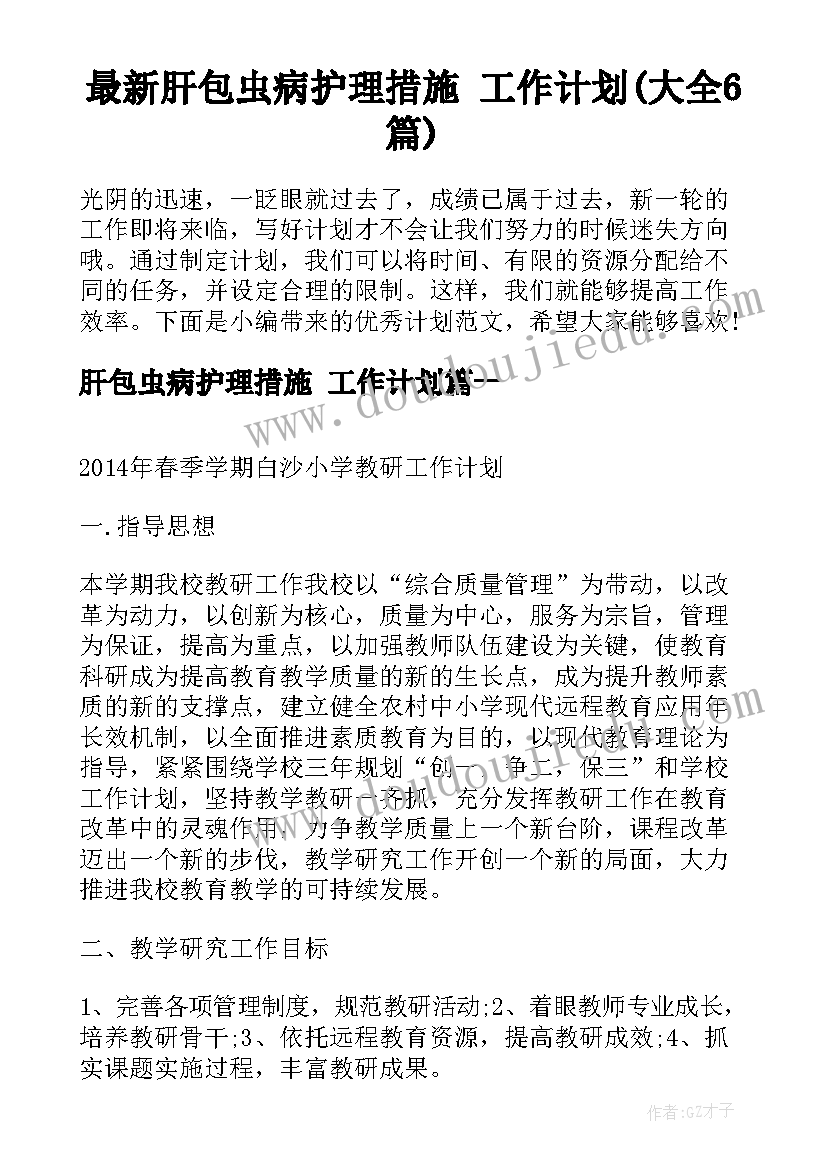 最新肝包虫病护理措施 工作计划(大全6篇)