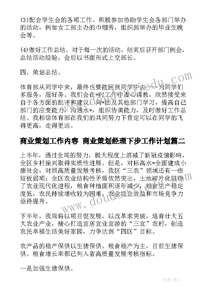 最新商业策划工作内容 商业策划经理下步工作计划(精选5篇)