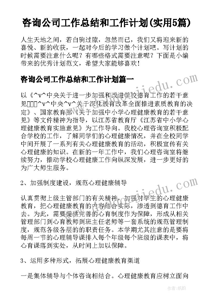 咨询公司工作总结和工作计划(实用5篇)