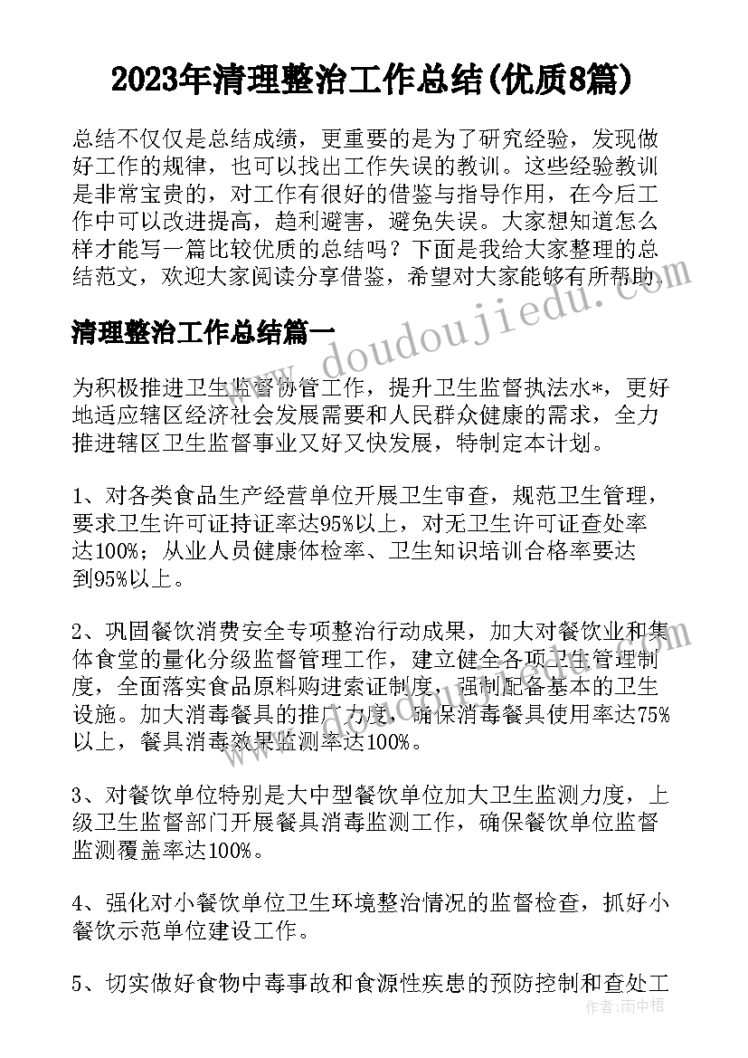 2023年清理整治工作总结(优质8篇)